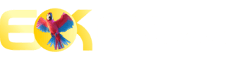 939bet. com - Bet959